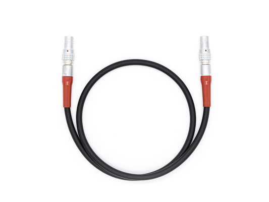 LBUS Cables